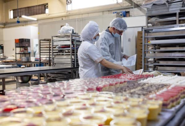 ingevalca inocuidad2