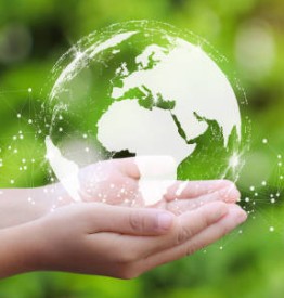 ingevalca sostenibilidad 5